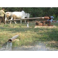 Animal Driven Water Pump